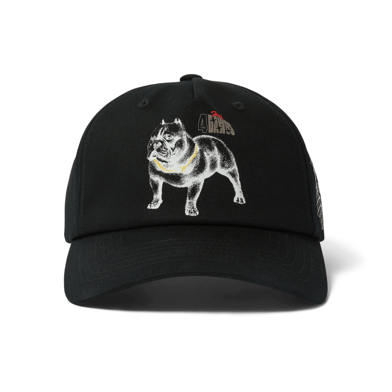 HUF 4 The Dawgs Snapback Hat Black