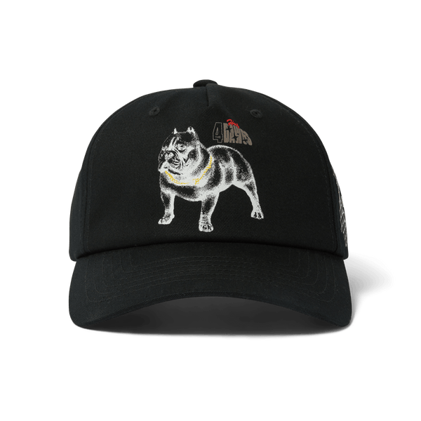 HUF 4 The Dawgs Snapback Hat